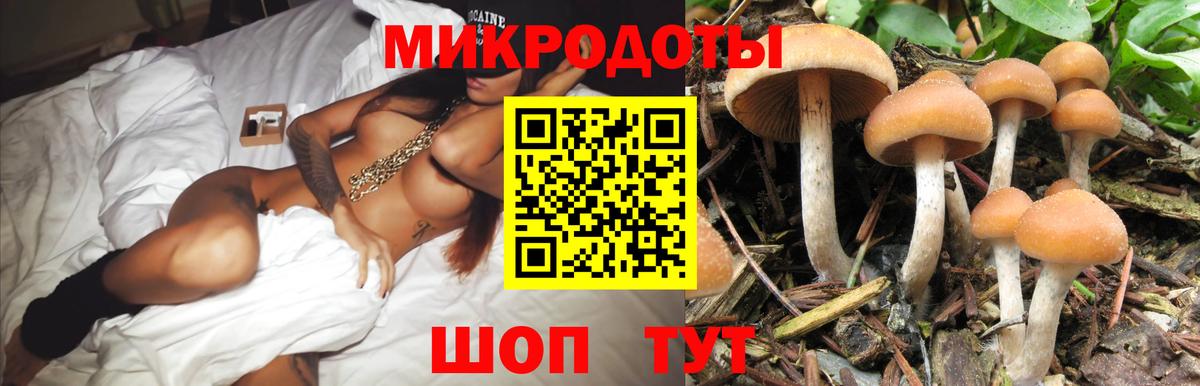 Ефремов  Галлюциногенные грибы GOLDEN TEACHER  Псилоцибиновые грибы MAGIC MUSHROOMS  Вход с VPN 